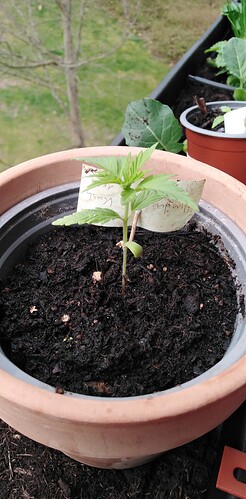 17446128346572614959023689128368