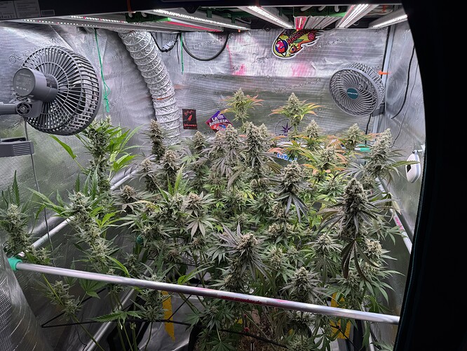 Growreport Bild 3