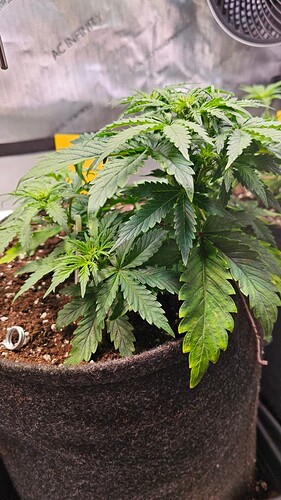 Growreport Bild 5