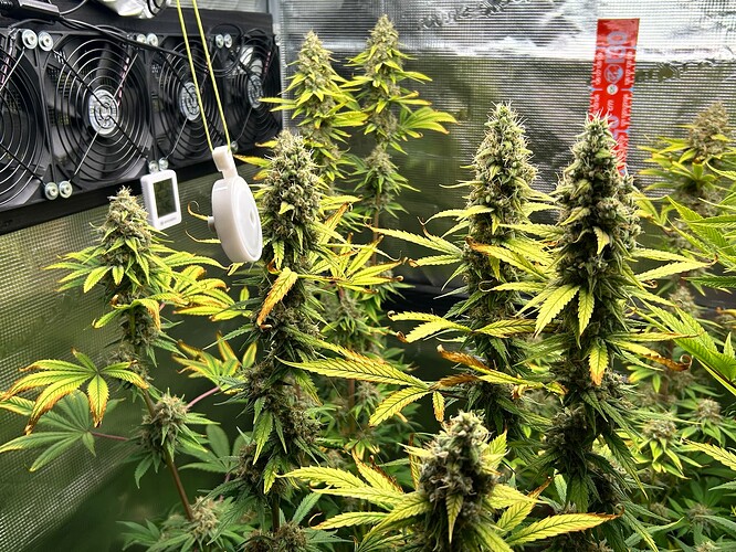 Growreport Bild 4