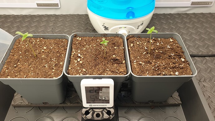 Growreport Bild 2
