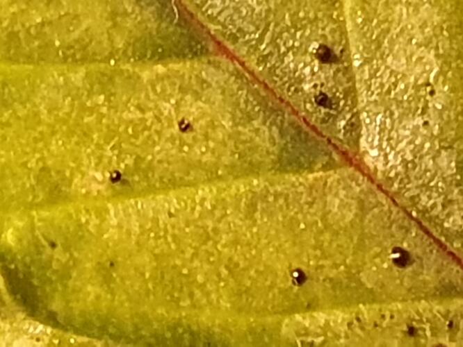 Amnesia_65Tage-2024-09-14-005