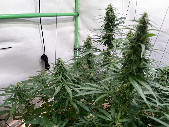Growreport Bild 6