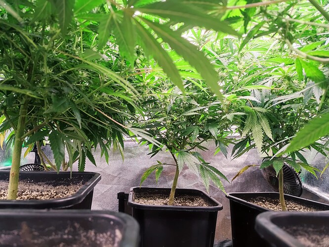 Growreport Bild 15