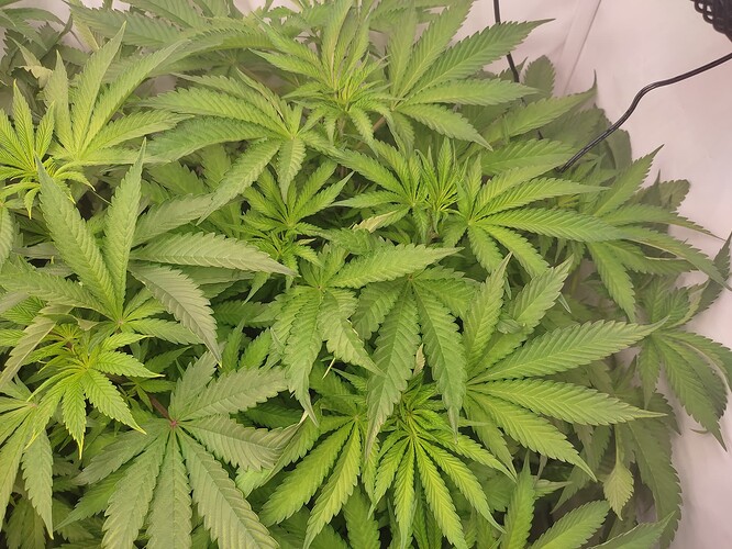 Growreport Bild 14