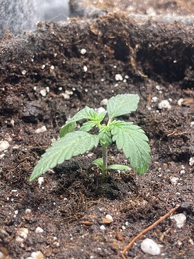 Growreport Bild 17