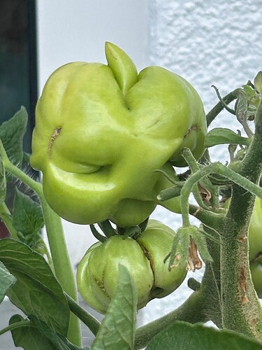 Growreport Bild 1