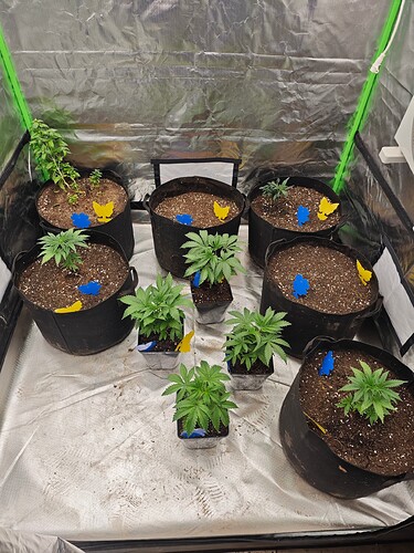 Growreport Bild 35