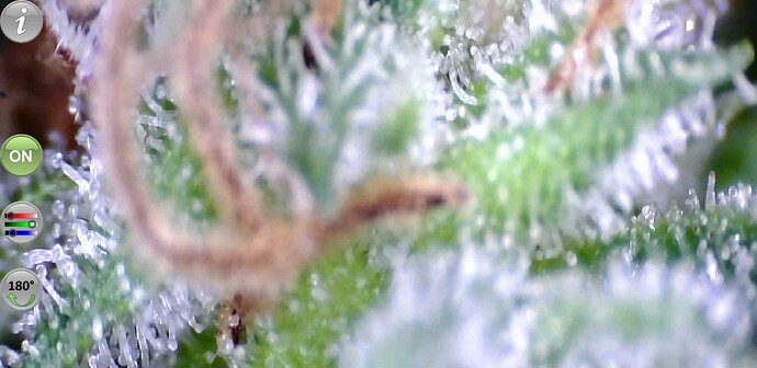 Growreport Bild 16