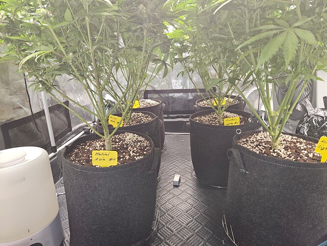 Growreport Bild 23