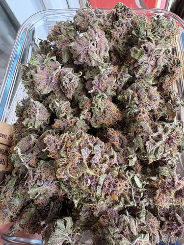 Growreport Bild 5