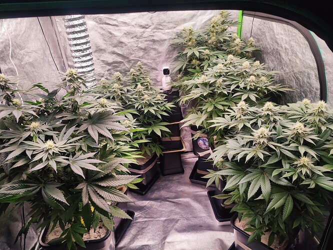 Growreport Bild 8
