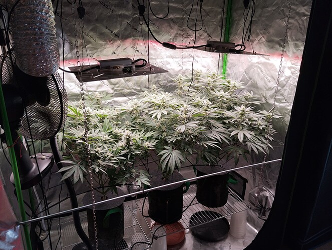 Growreport Bild 2