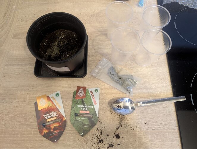 photo_2025-02-24_17-28-39