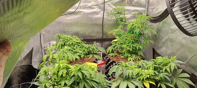 IMG_20251019_103628459_HDR