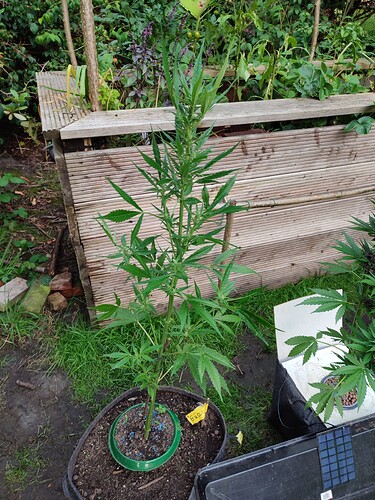 Growreport Bild 10