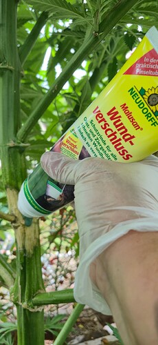 Growreport Bild 17