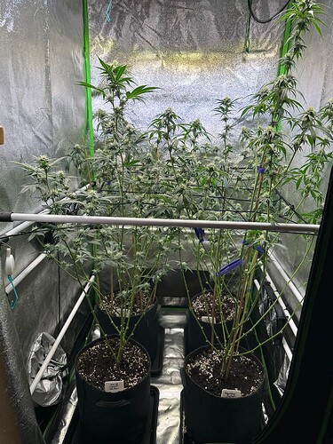 Growreport Bild 13