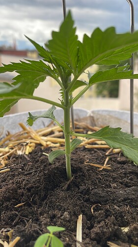 Growreport Bild 14