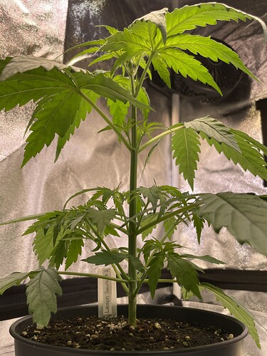 Growreport Bild 9