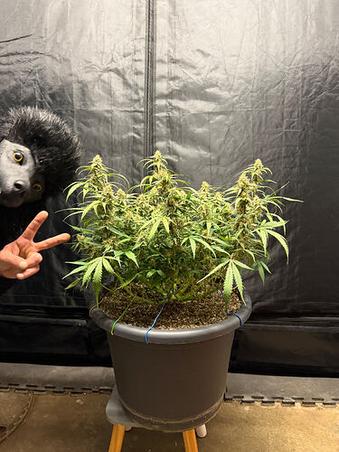 Growreport Bild 17