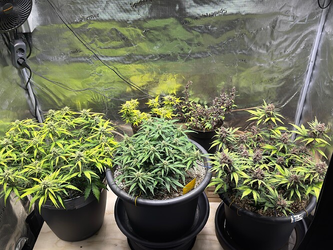 Growreport Bild 16