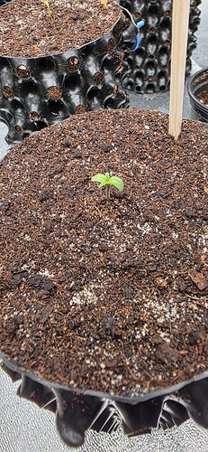 Growreport Bild 25