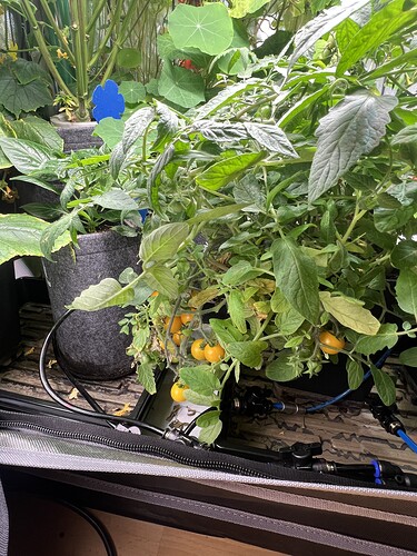 Growreport Bild 6