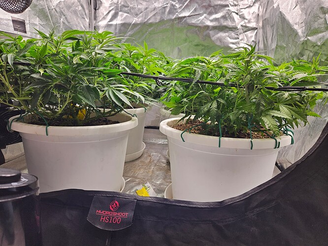 Growreport Bild 3