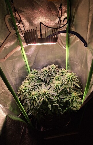 Growreport Bild 8