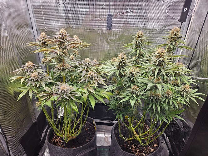 Growreport Bild 14