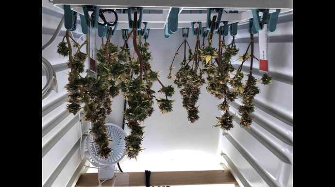Growreport Bild 12