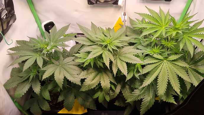 WhatsApp Image 2024-05-23 at 21.25.09