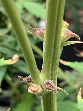 Growreport Bild 12