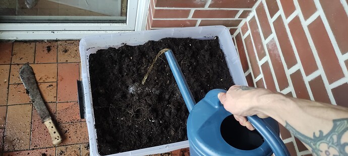 Growreport Bild 6