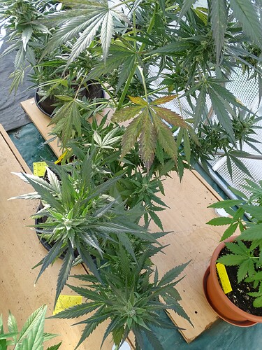 Growreport Bild 10