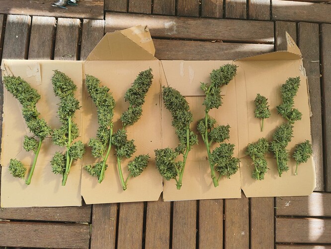 Growreport Bild 16
