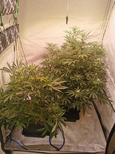 Growreport Bild 7