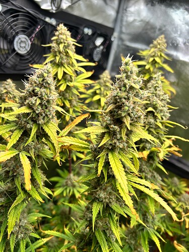 Growreport Bild 3