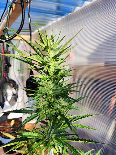Growreport Bild 5