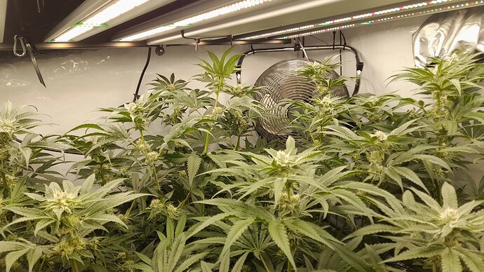 Growreport Bild 12