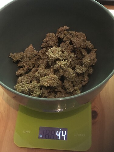Growreport Bild 4