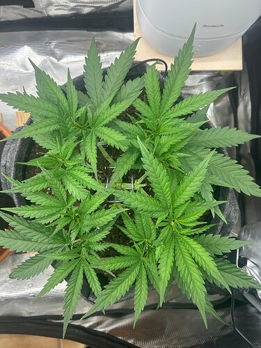 Growreport Bild 20