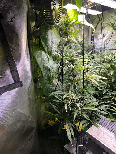 Growreport Bild 30