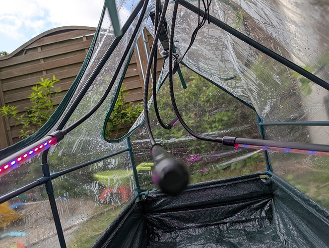 PXL_20250425_150022365