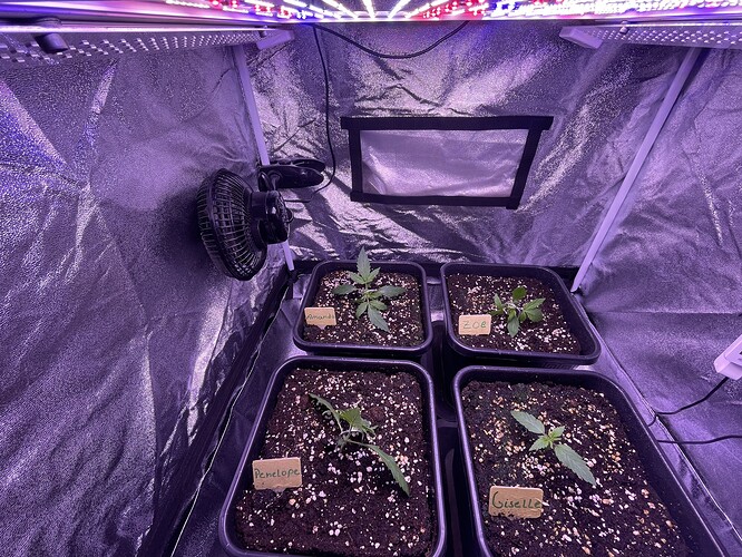 Growreport Bild 5