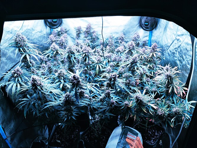Growreport Bild 22
