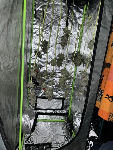 Growreport Bild 11