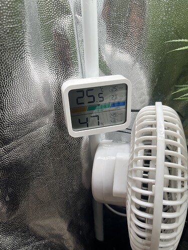 Growreport Bild 4