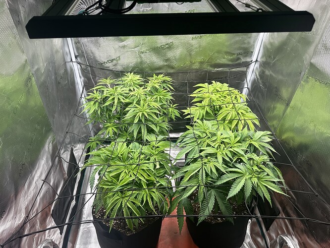 8910383b1db5d945ddc78335b98ec6637d3ff4f6